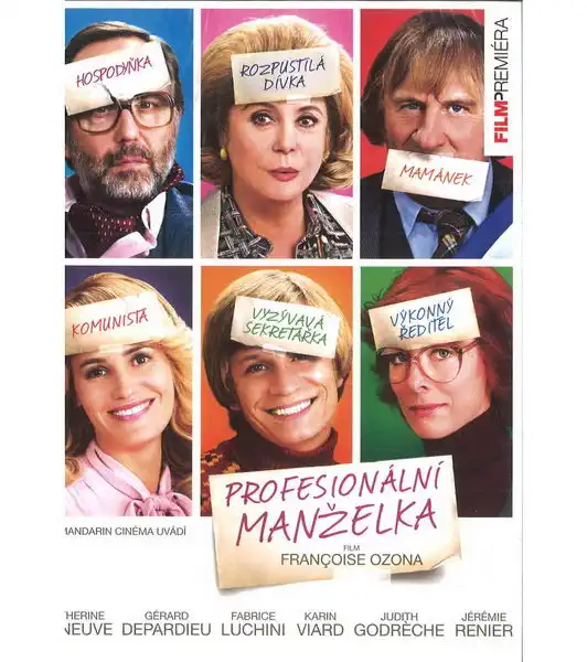 Profesionální manželka ( digipack ) DVD -bazarové zboží