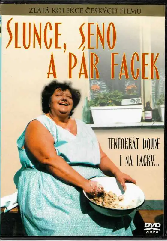 Slunce, seno a pár facek - DVD slim/plast /bazarové zboží/