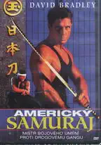 Americký samuraj ( plast ) 