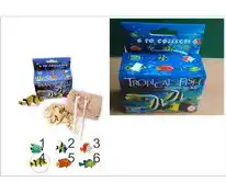 Archeologická sada - Tropická rybka - Čtyři