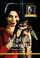 Až přijde kocour + Šest otázek pro Jana Wericha - DVD box