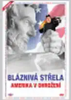 Bláznivá střela - Amerika v ohrožení - DVD plast /bazarové zboží/