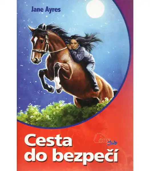 Cesta do bezpečí - Jane Ayres