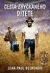 Cesta zhýčkaného dítěte - DVD Claude Lelouch