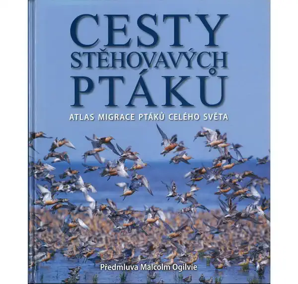 Cesty stěhovavých ptáků - kolektiv autorů
