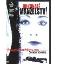 Dokonalé manželství - DVD slim