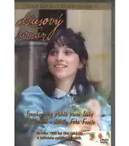 Džusový román - DVD