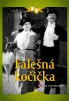 Falešná kočička (1926) - digipack DVD