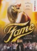 Fame - Cesta za slávou - DVD