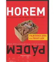 Horem pádem - DVD plast/ slim