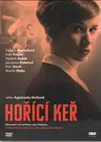Hořící keř - DVD plast