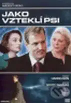 Jako vzteklí psi - DVD