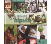 Kniha plná nápadů - Venke Eiane Saether