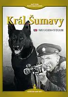 Král Šumavy - digipack DVD