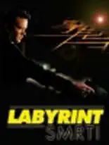 Labyrint smrti - DVD