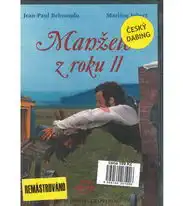 Manželé z roku II - DVD plast