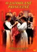 O zatoulané princezně - DVD pošetka /bazarové zboží/
