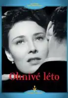 Ohnivé léto - digipack DVD