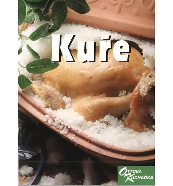 Ottova kuchařka - Kuře