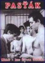 Pasťák - DVD