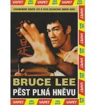 Pěst plná hněvu - DVD pošetka