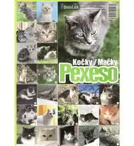 Pexeso - Kočky