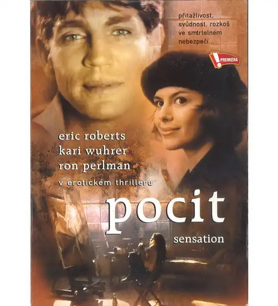 Pocit - DVD pošetka
