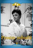 Prosím nebudit - digipack DVD