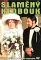 Slaměný klobouk - DVD pošetka