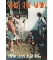 Slunce, seno, jahody ( pošetka ) - DVD