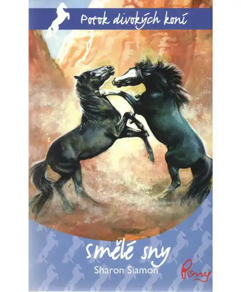 Smělé sny - Sharon Siamon