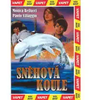 Sněhová koule - DVD