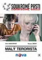Soukromé pasti 6 - Malý terorista - DVD