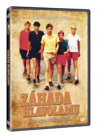 Záhada hlavolamu - DVD plast