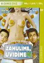 Zahulíme, uvidíme ( pošetka ) - DVD