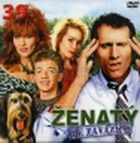 Ženatý se závazky 39 - DVD