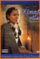 Zimní víla ( pošetka ) DVD