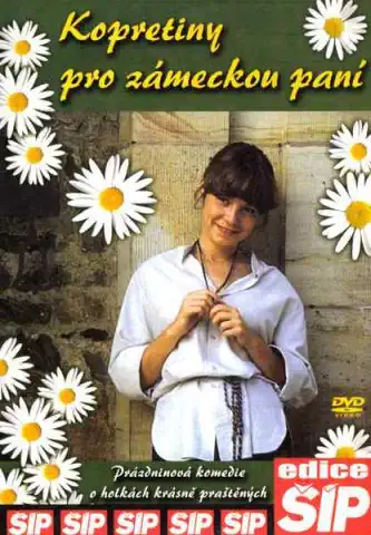 Kopretiny pro zámeckou paní - DVD