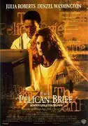 The Pelican Brief - Případ pelikán - DVD plast /bazarové zboží/