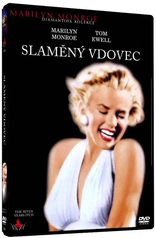Slaměný vdovec - DVD plast