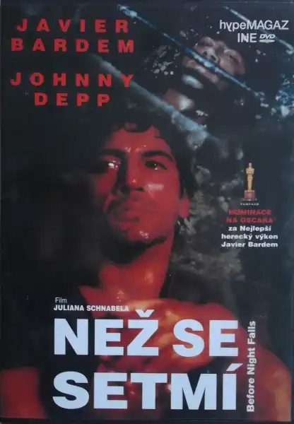 Než se setmí - DVD plast