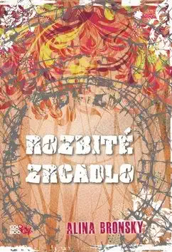 Rozbité zrcadlo - Alina Bronsky