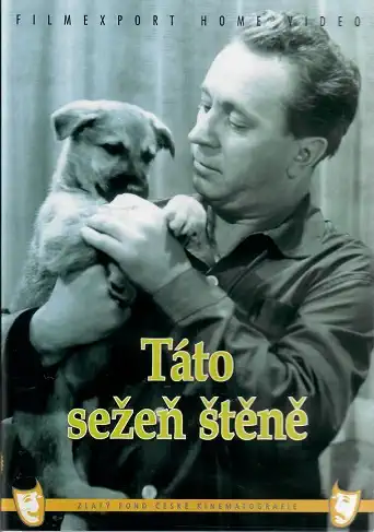 Táto sežeň štěně DVD Box