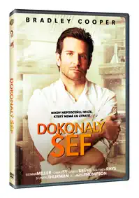 Dokonalý šéf DVD plast