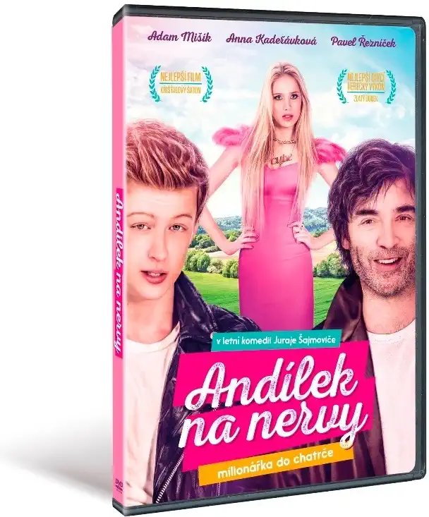 Andílek na nervy DVD plast
