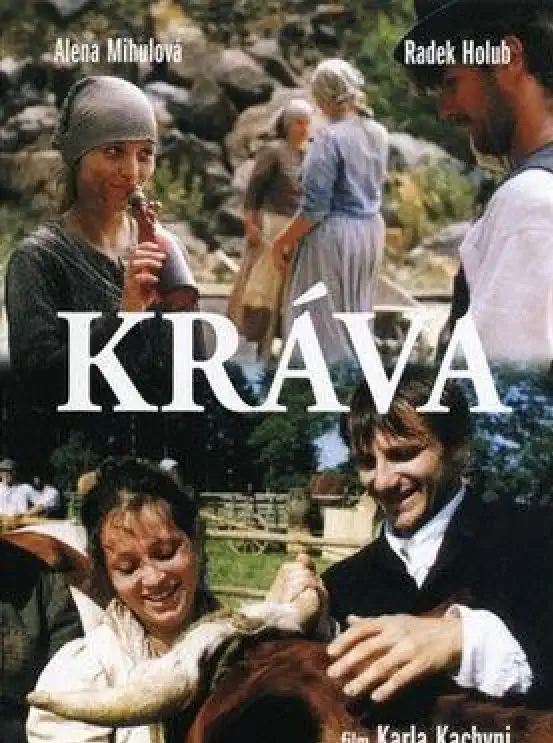 Kráva DVD plast