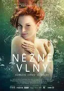 Něžné vlny DVD plast (bazarové zboží)
