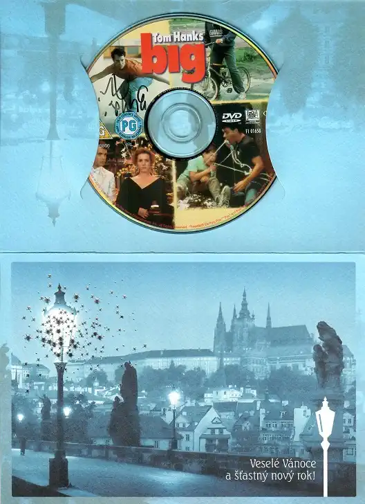 Velký ( dárkový papír obal ) - bazarové zboží DVD