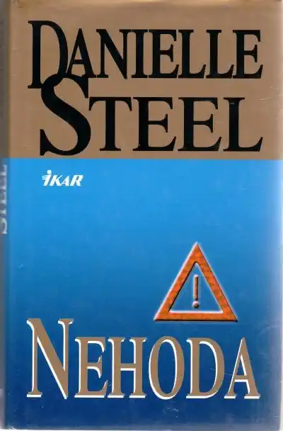 Nehoda - Danielle Steel - bazarové zboží