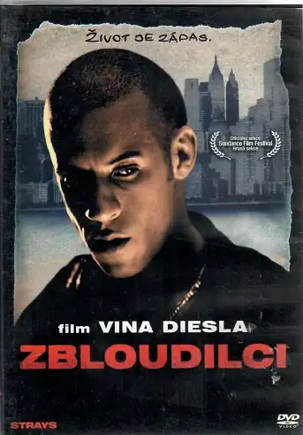 Zbloudilci ( plast ) DVD